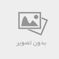 بهترین ترکیب خاک گلدان